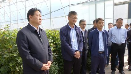 考察學(xué)習(xí)交流 優(yōu)勢互補促發(fā)展，共繪農(nóng)業(yè)園藝服務(wù)新篇章